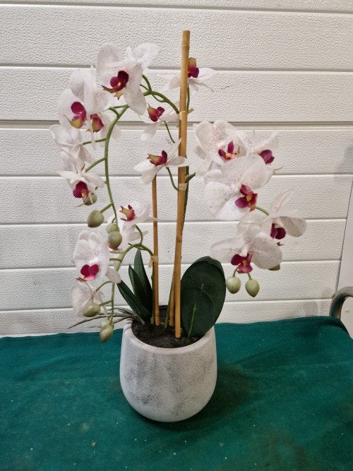 kunstorchidee in pot, Ophalen of Verzenden, 'T Olde Gre-j, Info@toldegrej.nl, Endepoelstraat 20f Didam