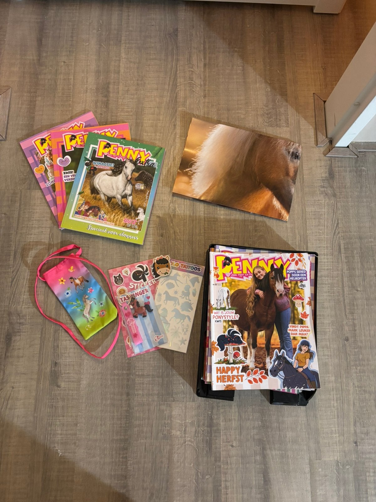 Penny’s, Ophalen of Verzenden, Gelezen, Overige typen
