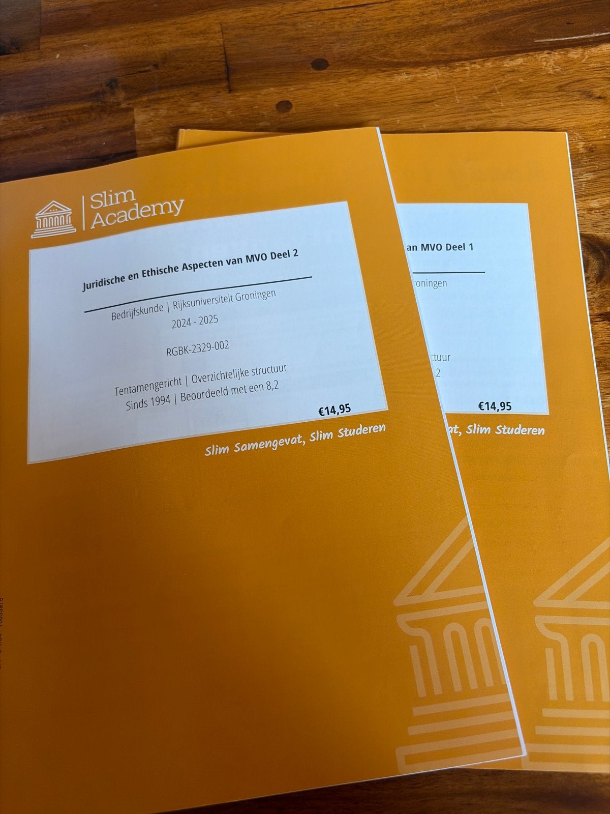 Slim Academy Samenvatting Juridische en Ethische Aspecten MV, Boeken, Studieboeken en Cursussen, Ophalen of Verzenden, Gamma, Zo goed als nieuw