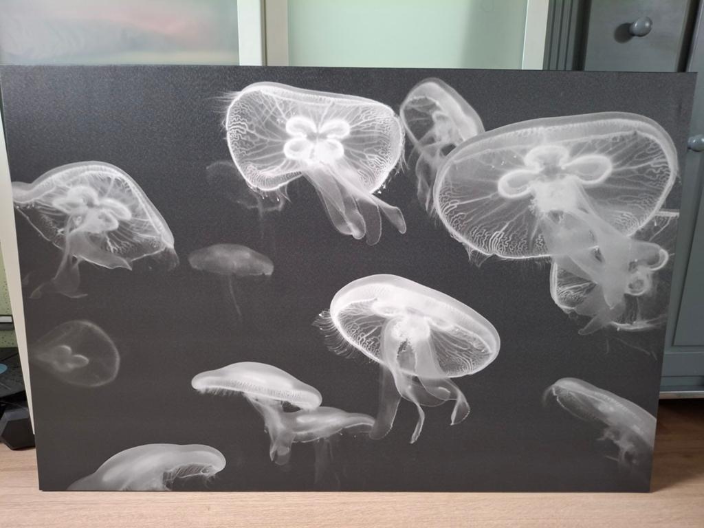 Canvas schilderij met kwallen - Modern en sfeervol, Ophalen, Zo goed als nieuw, 120 cm, 80 cm