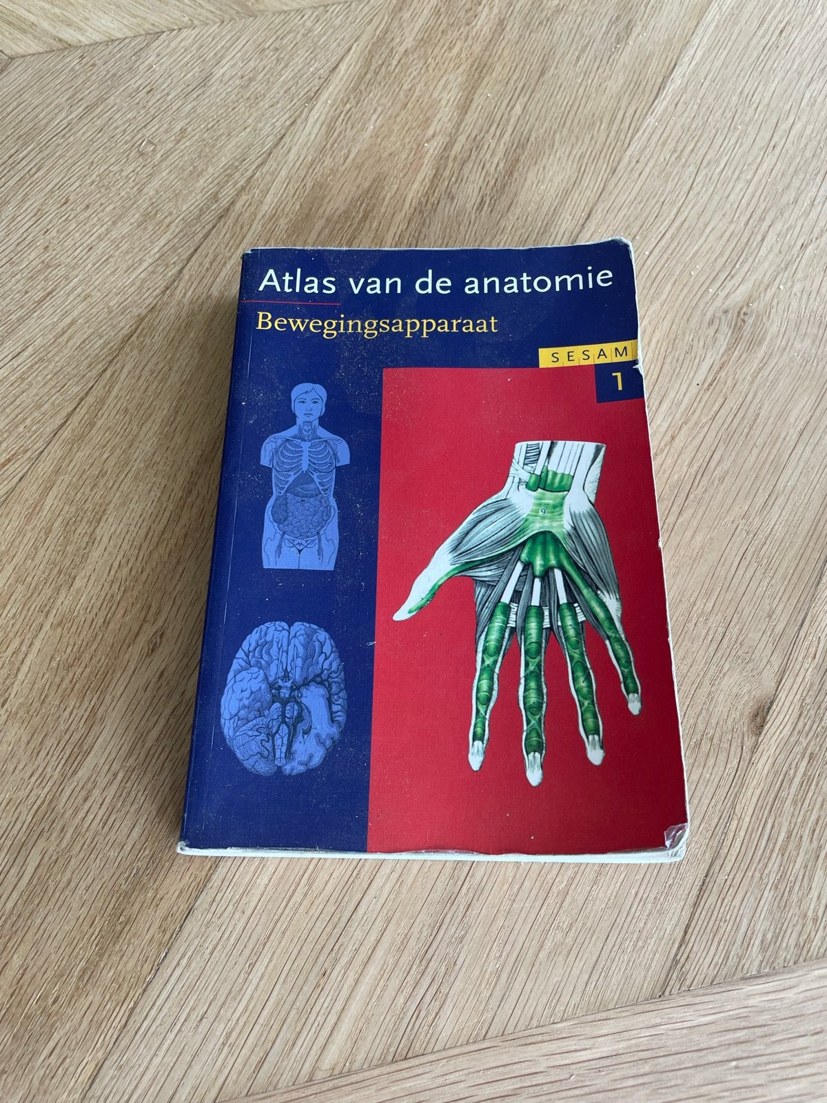 Atlas van de anatomie - Bewegingsapparaat (Deel 1), Boeken, Ophalen of Verzenden, Beta, Gelezen, HBO