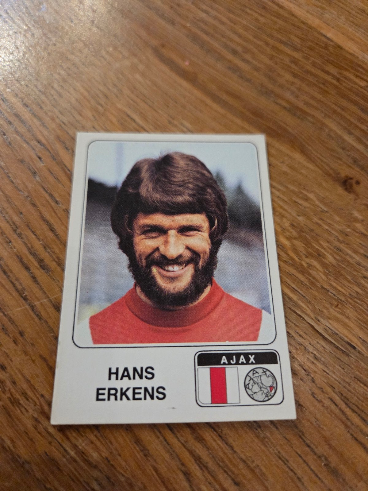 Panini Ajax, Verzamelen, Ophalen of Verzenden, Zo goed als nieuw, Ajax, Poster, Plaatje of Sticker