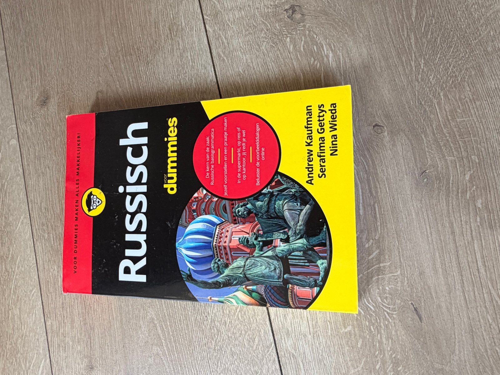 Russisch voor Dummies - Leer de Russische taal, Boeken, Ophalen, Zo goed als nieuw, Non-fictie