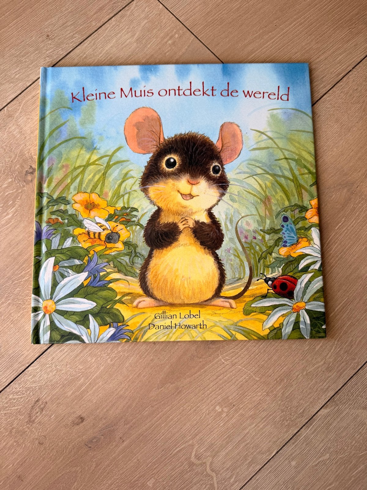 Kleine Muis ontdekt de wereld - Prentenboek, Boeken, Ophalen, Zo goed als nieuw, 1 tot 2 jaar