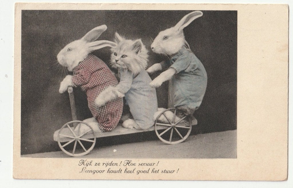 Harry Whittier Frees konijnen en kat / poes / kitten op step, Verzamelen, Verzenden, 1920 tot 1940, Gelopen, Hond of Kat
