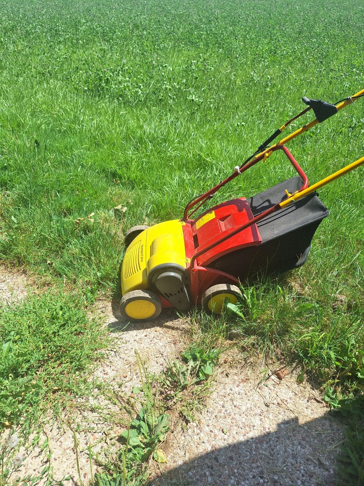 Verticuteer apparaat Wolfgang, Ophalen, Gebruikt, Elektrisch