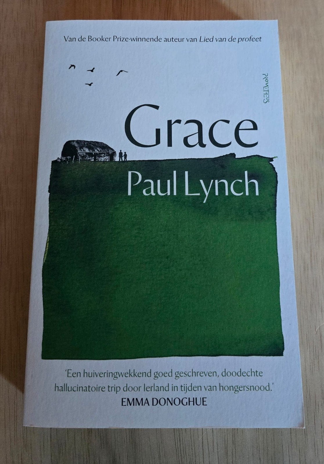 diverse boeken verkoop, Boeken, Ophalen of Verzenden, Zo goed als nieuw, Paul Lynch