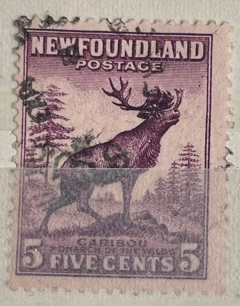 Postzegel Newfoundland; rendier (kariboe), Ophalen of Verzenden, Dier of Natuur