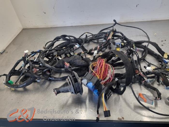 Kabelboom van een Renault Trafic, Gebruikt, -, Renault, -