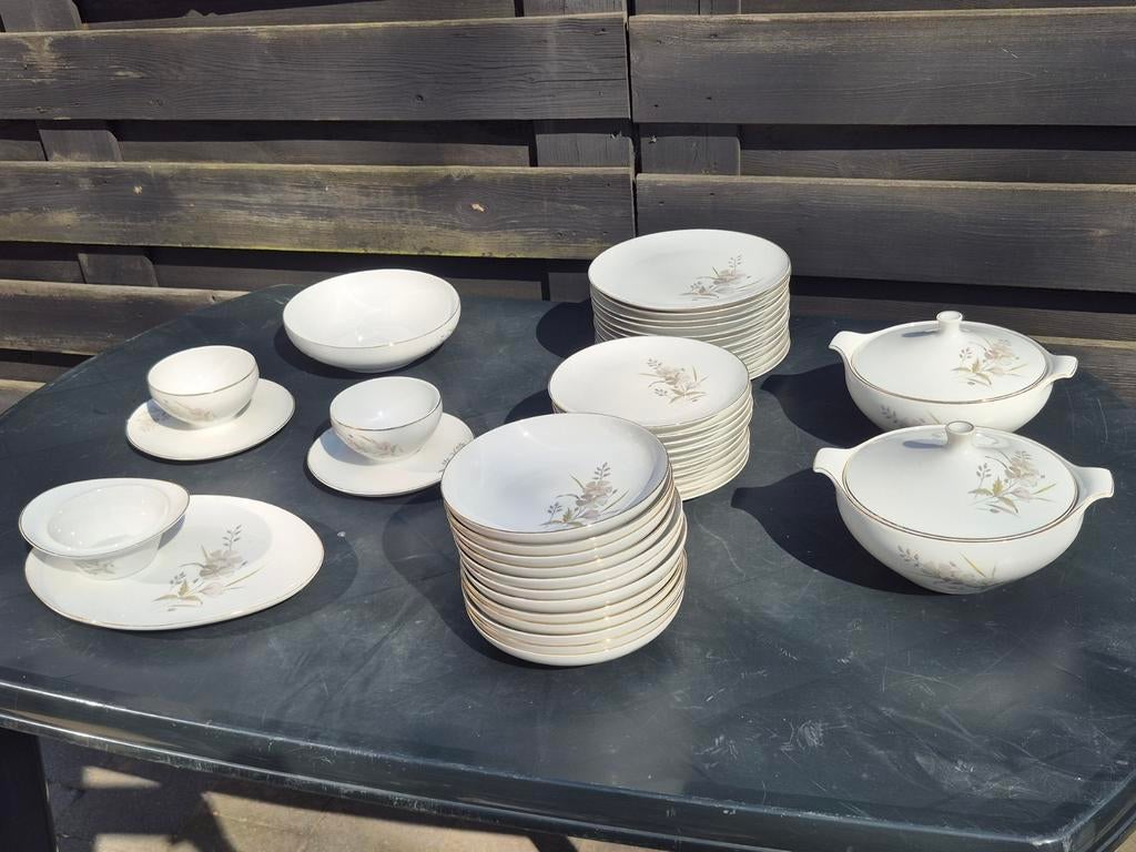 Vintage Porseleine servies   'Schonwald', Ophalen
