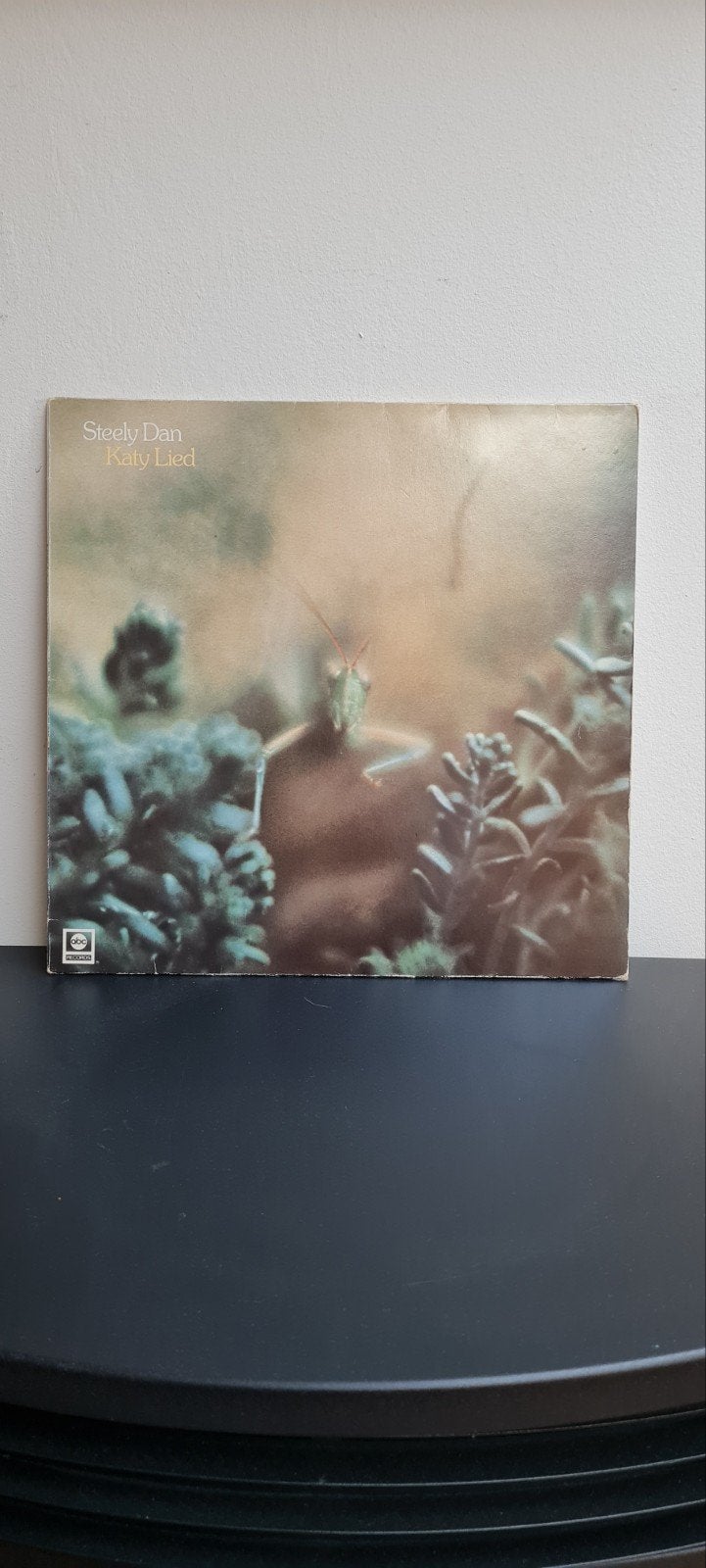 Steely Dan  - Katy Lied LP, LP, Gebruikt, Ophalen of Verzenden, 12 inch