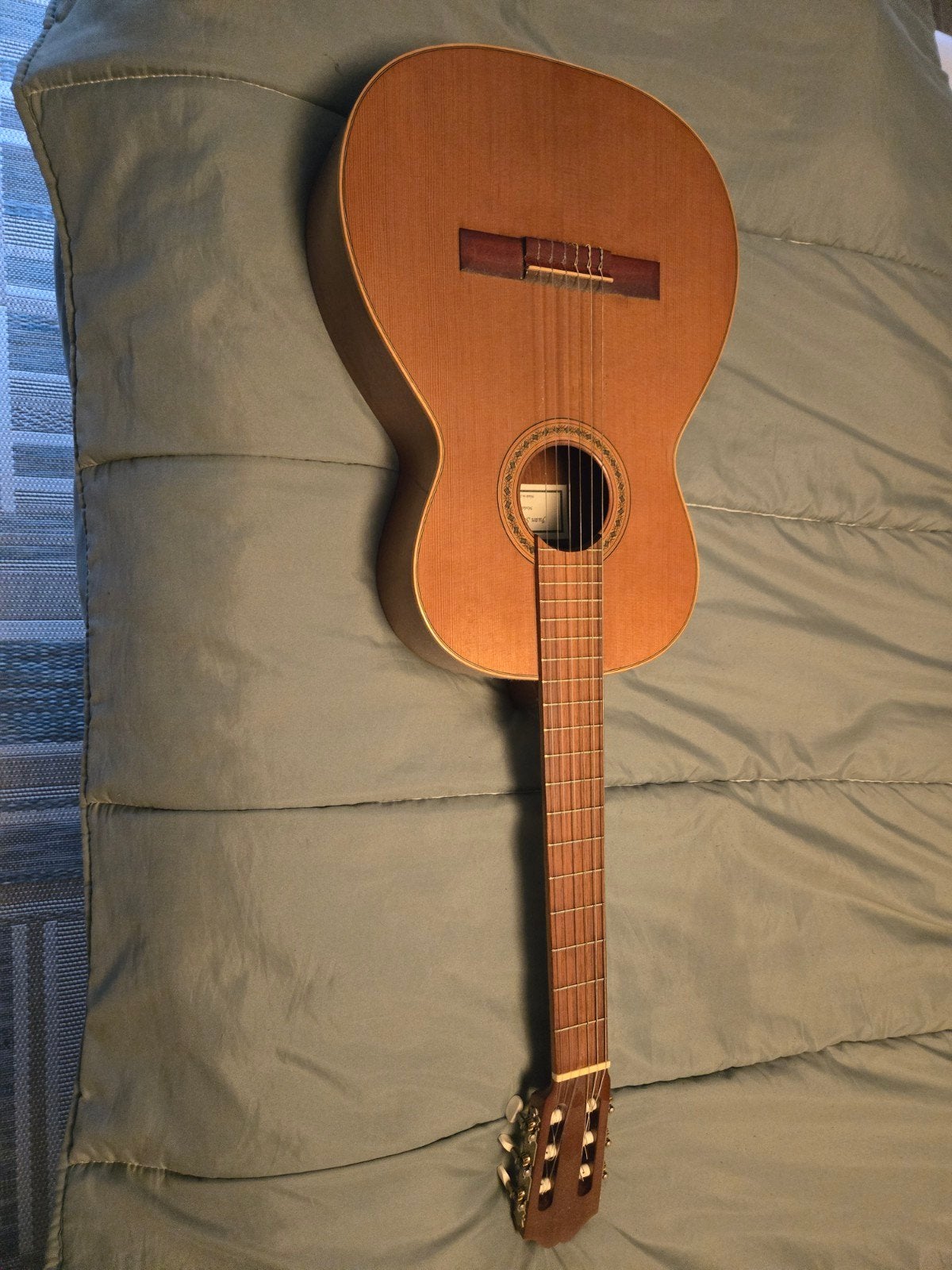 Professionele Klassieke Gitaar met Stevige Tas, Ophalen, Zo goed als nieuw, Klassieke of Spaanse gitaar, Met koffer
