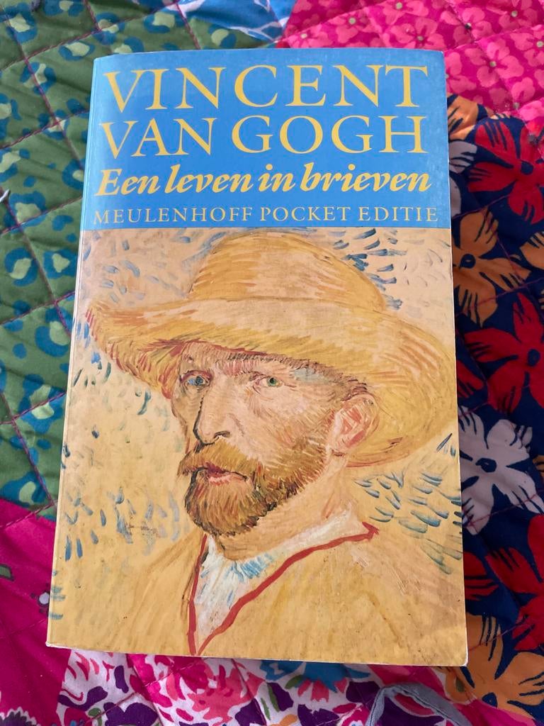 Vincent van Gogh: Een leven in brieven, Boeken, Ophalen of Verzenden, Gelezen, Kunst en Cultuur