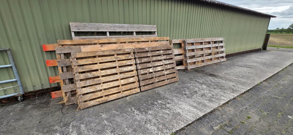 Gratis af te halen 9 pallets en 1 multiplex plaat, Ophalen, Gebruikt, 250 tot 300 cm, 50 mm of meer