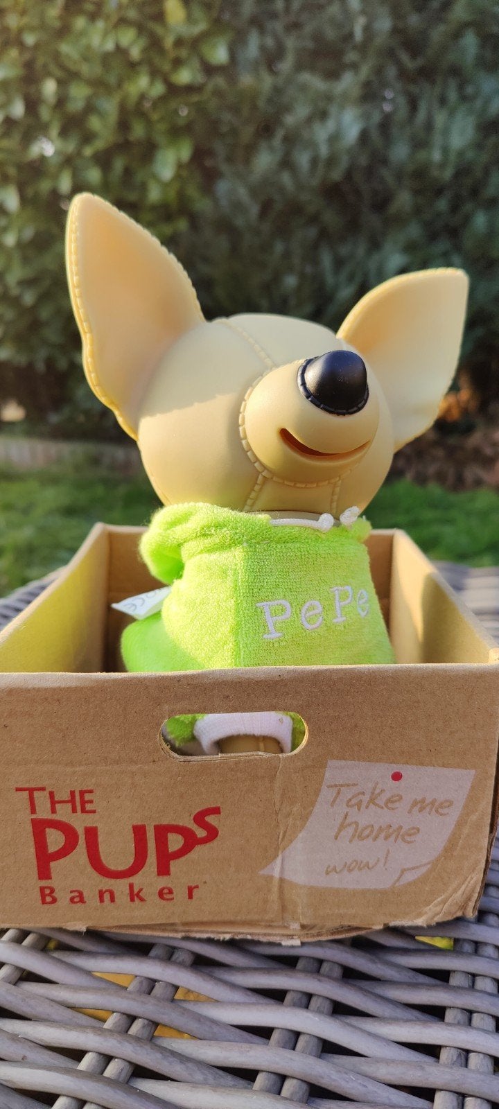 Chihuahua spaarpot pup in box, Verzamelen, Ophalen of Verzenden, Nieuw