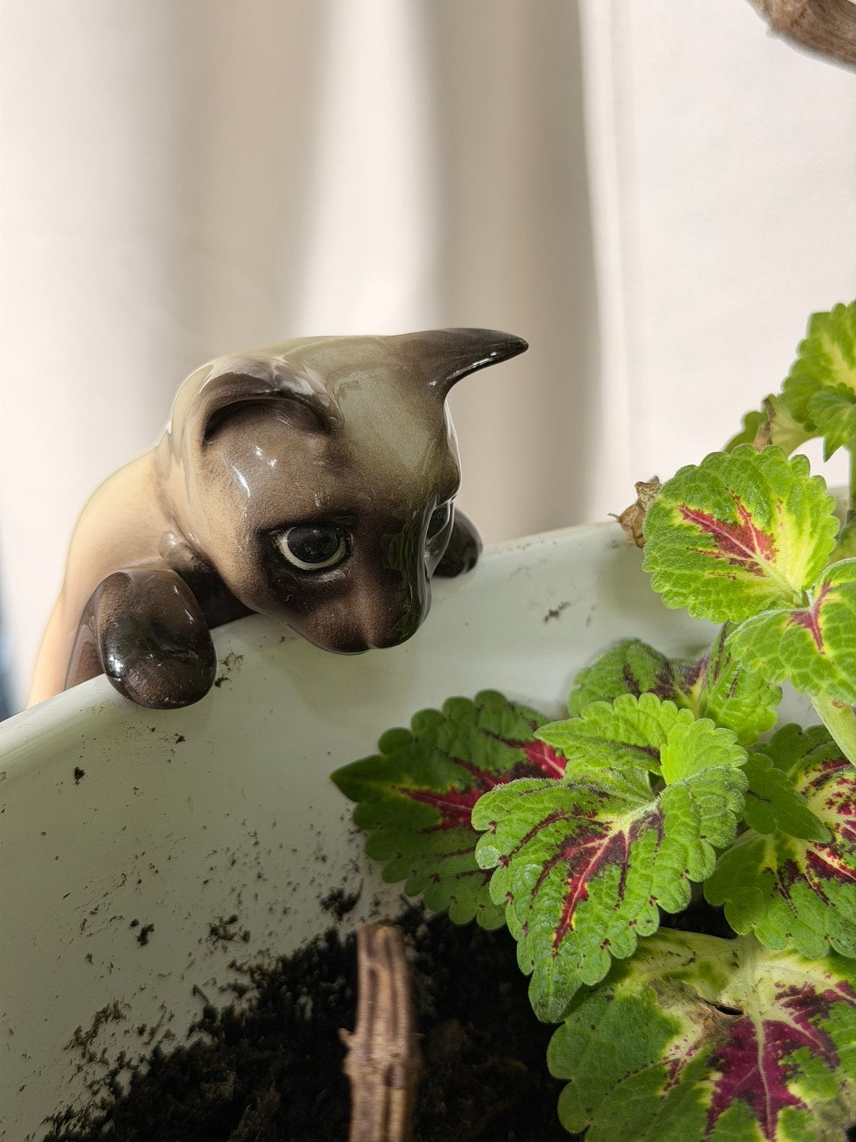 Siameese klimmende kat, keramiek Beswick?, Ophalen of Verzenden