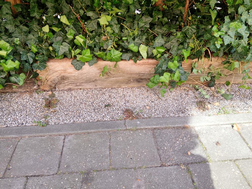 Oude bielzen voor de tuin...ong. 15 meter, Tuin en Terras, Ophalen, Gebruikt, Hout, Biels