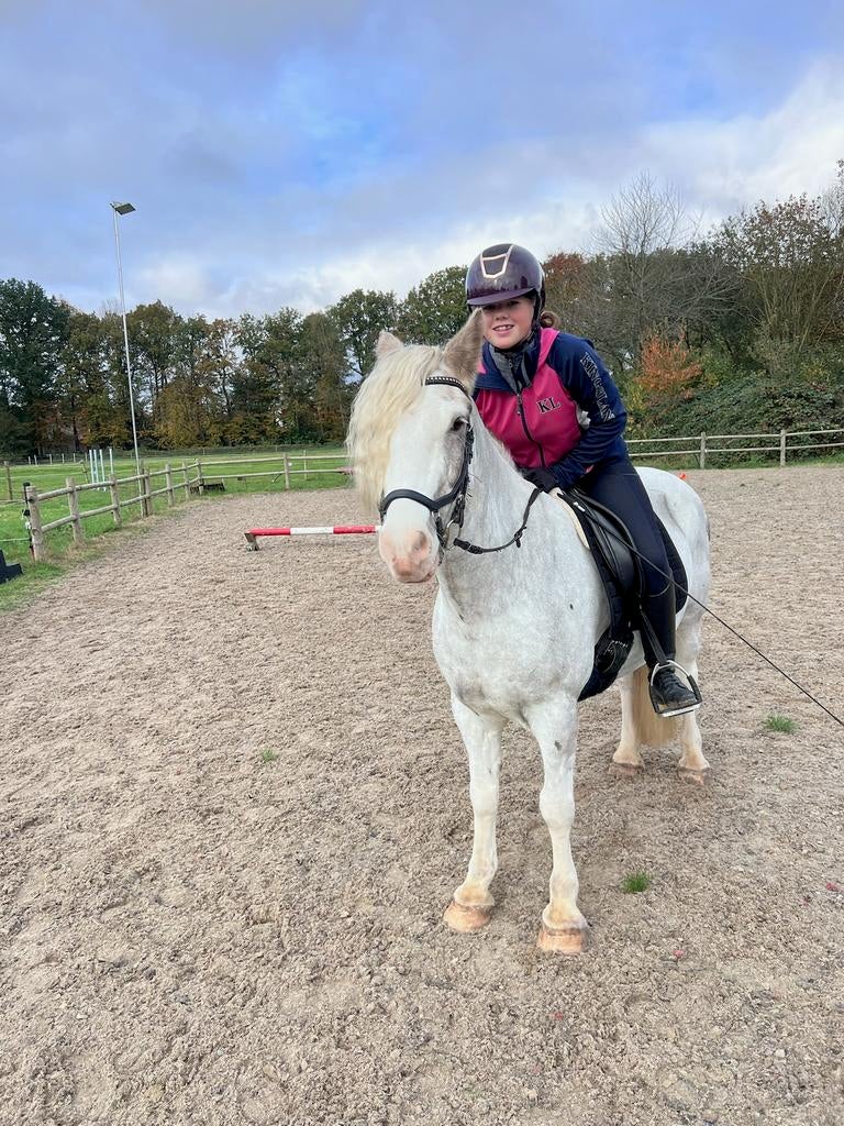Tinker, top braaf!, Dieren en Toebehoren, Pony's, Ruin, B, D pony (1.37m tot 1.48m), Recreatiepony, 11 jaar of ouder, Met stamboom