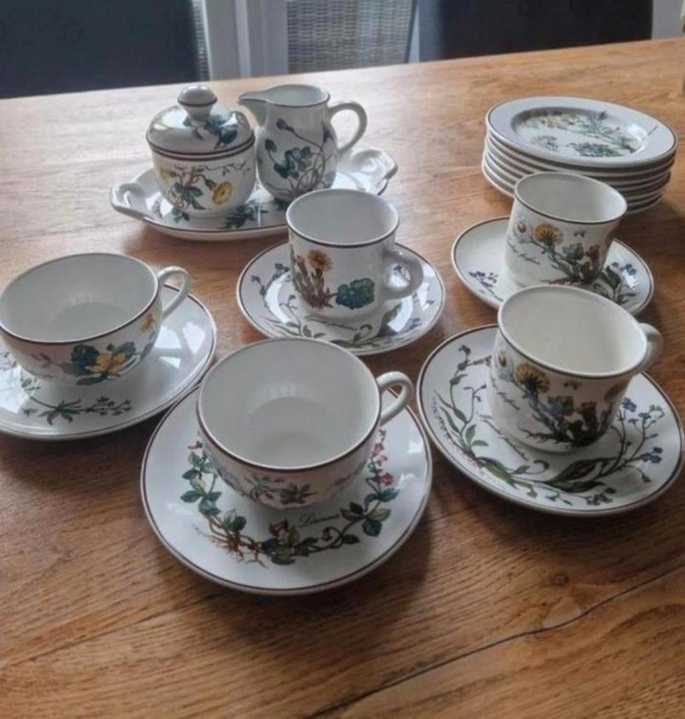 Vintage Botanisch Servies - Theeservies en Borden, Gebruikt, Keramiek, Ophalen of Verzenden, Overige stijlen