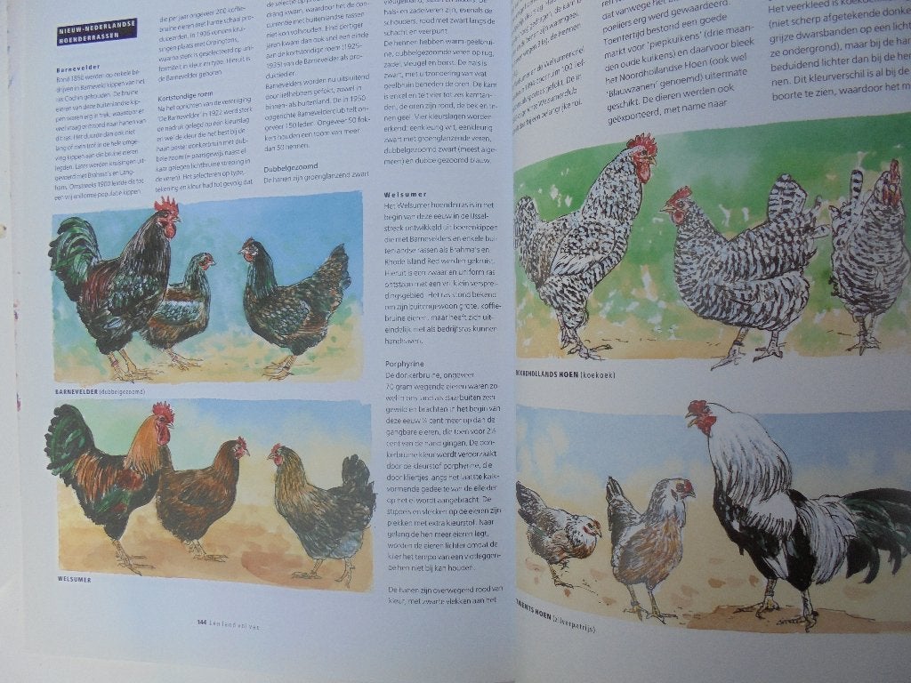 Een land vol vee NIEUW landbouwhuisdieren (gp83), Boeken, Ophalen, Nieuw, Honden
