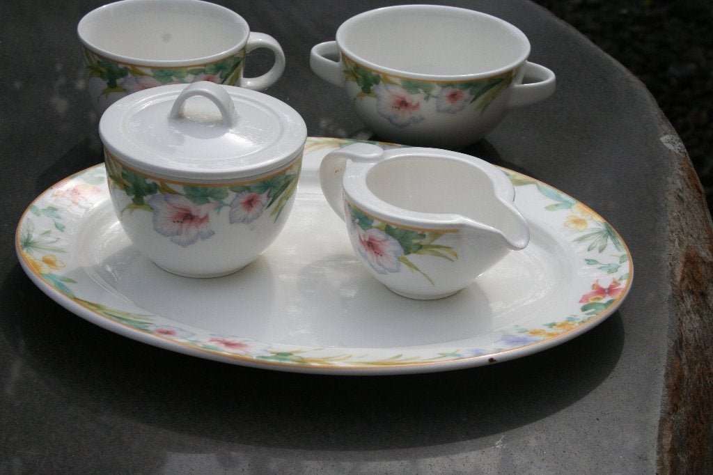Nieuw prachtige set Villeroy & Boch Exotica Superkoopje, Huis en Inrichting, Nieuw, Ophalen of Verzenden, Overige stijlen, Porselein