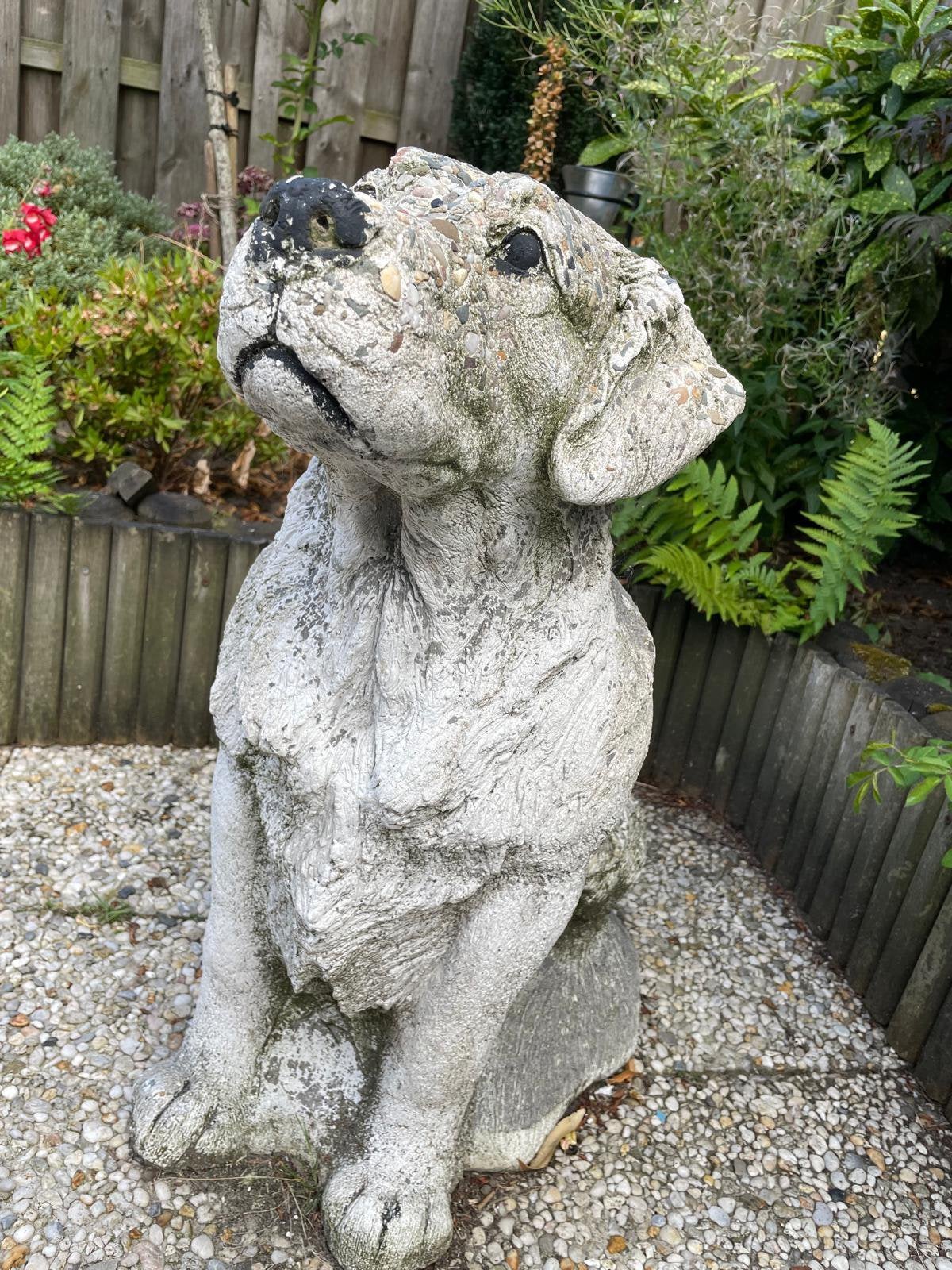 Beeld hond, Tuin en Terras, Tuinbeelden, Ophalen, Gebruikt, Beton, Dierenbeeld