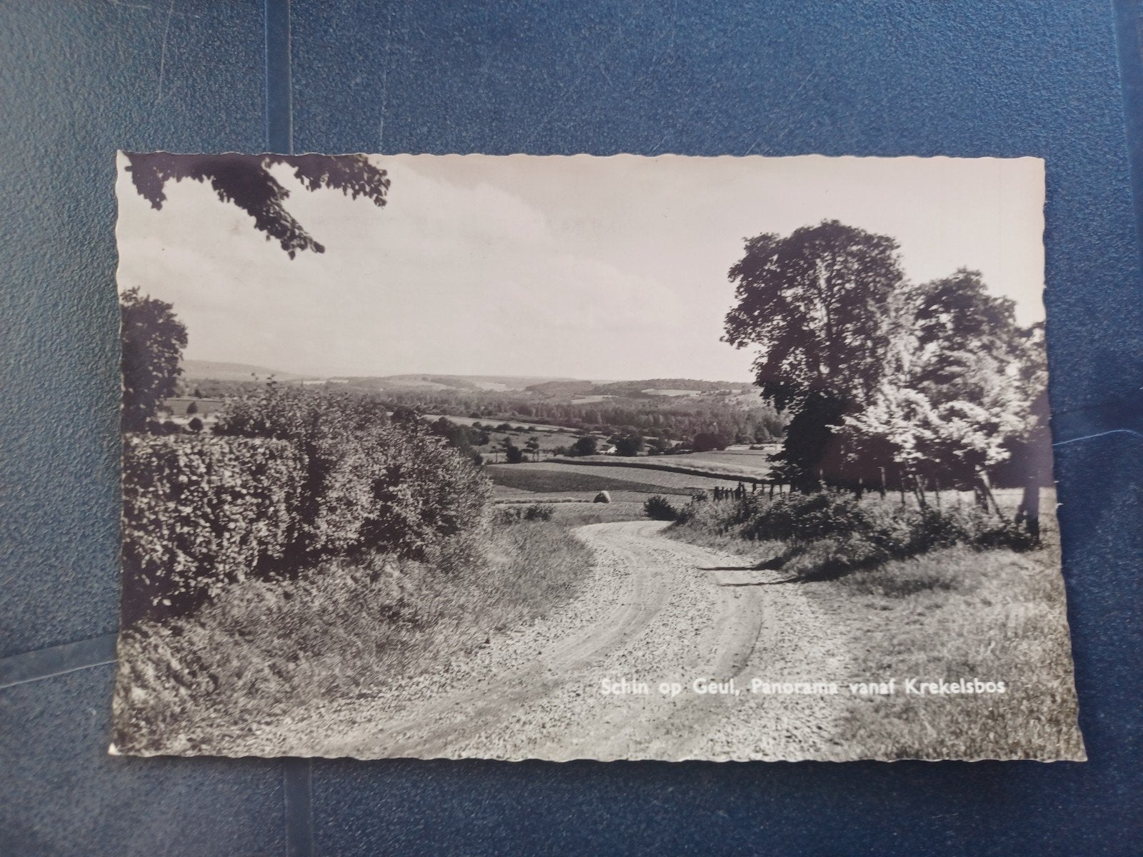 Schin op Geul Panorama vanaf Krekelsbos 1961, Ophalen of Verzenden, 1960 tot 1980, Gelopen, Limburg