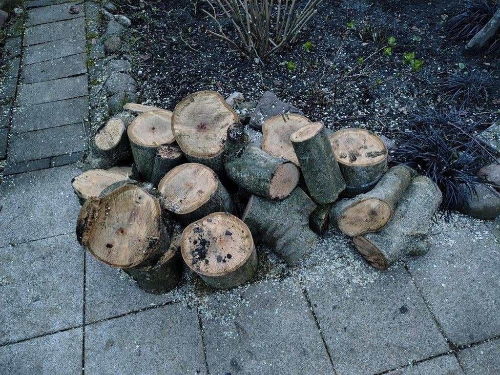 Verse walnoot houtblokken, Minder dan 3 m³, Ophalen, Overige houtsoorten, Blokken