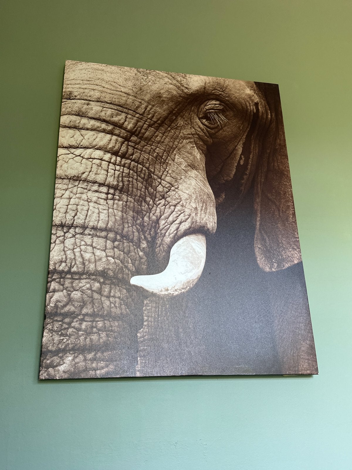 Groot canvas schilderij olifant - wanddecoratie, Huis en Inrichting, Woonaccessoires | Schilderijen, Tekeningen en Foto's, Ophalen