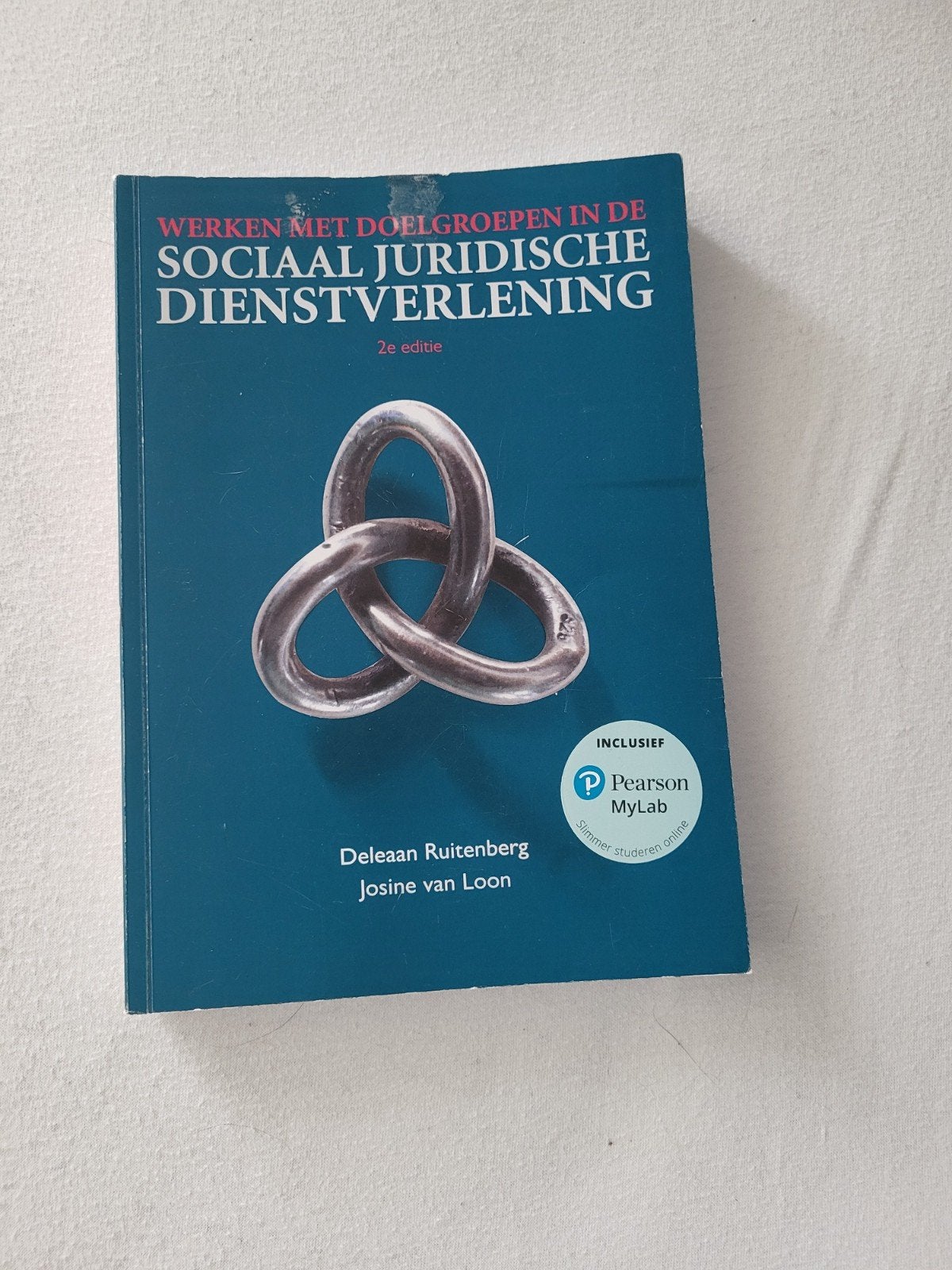 Werken met Doelgroepen (SJD), Boeken, Studieboeken en Cursussen, Deleaan Ruitenberg, Josine van Loon, Zo goed als nieuw, Gamma