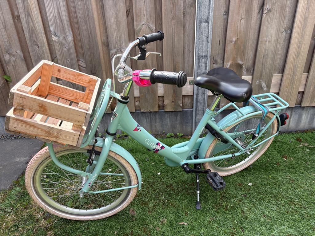 Alpina clubb meisjesfiets, Ophalen, Zo goed als nieuw, 20 inch