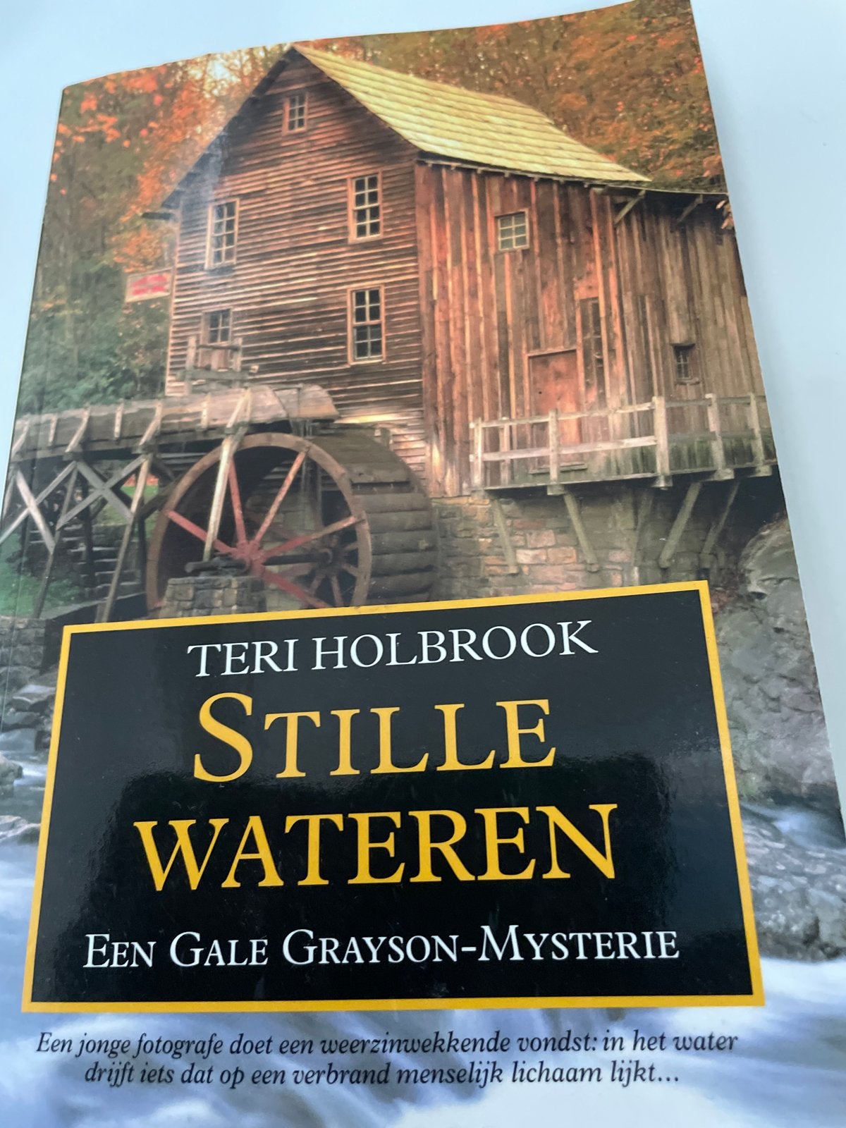 Stille Wateren - Een Gale Grayson-Mysterie, Ophalen of Verzenden, Zo goed als nieuw