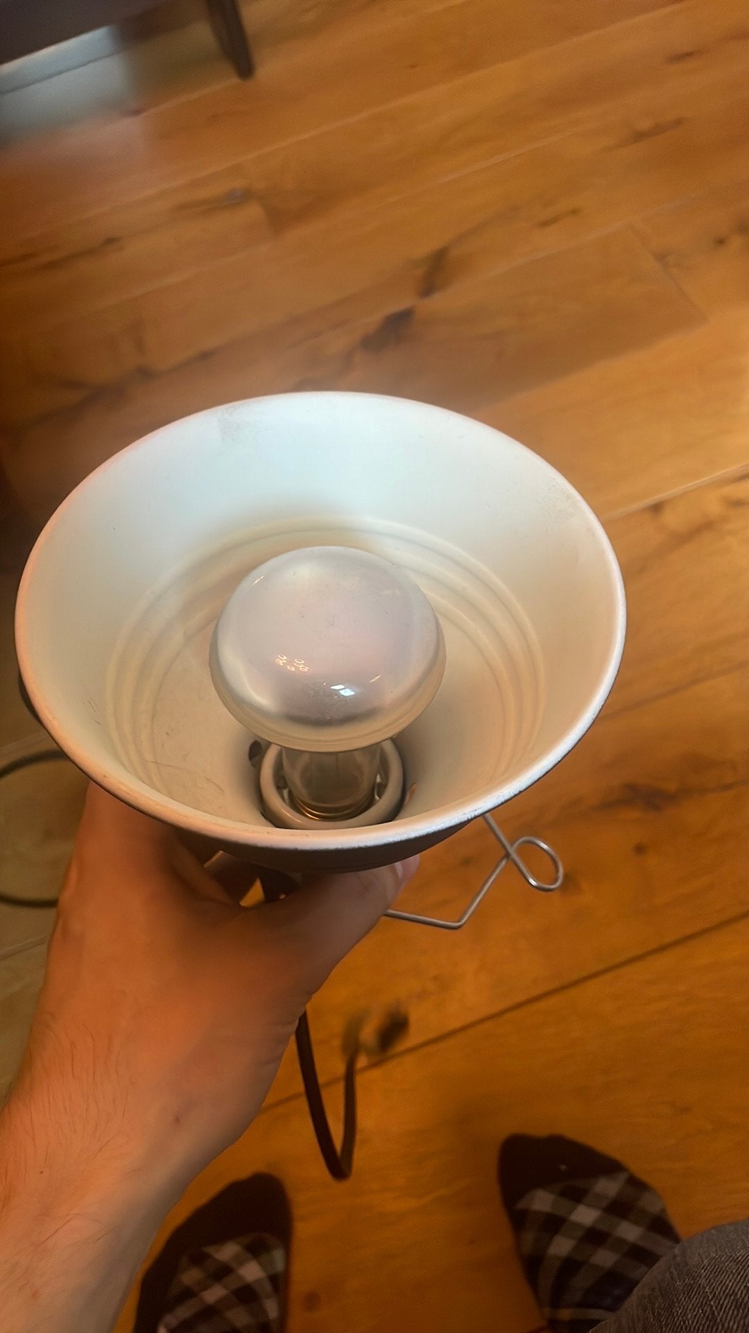 Warmtelamp voor reptiel, Ophalen, Zo goed als nieuw, Verlichting