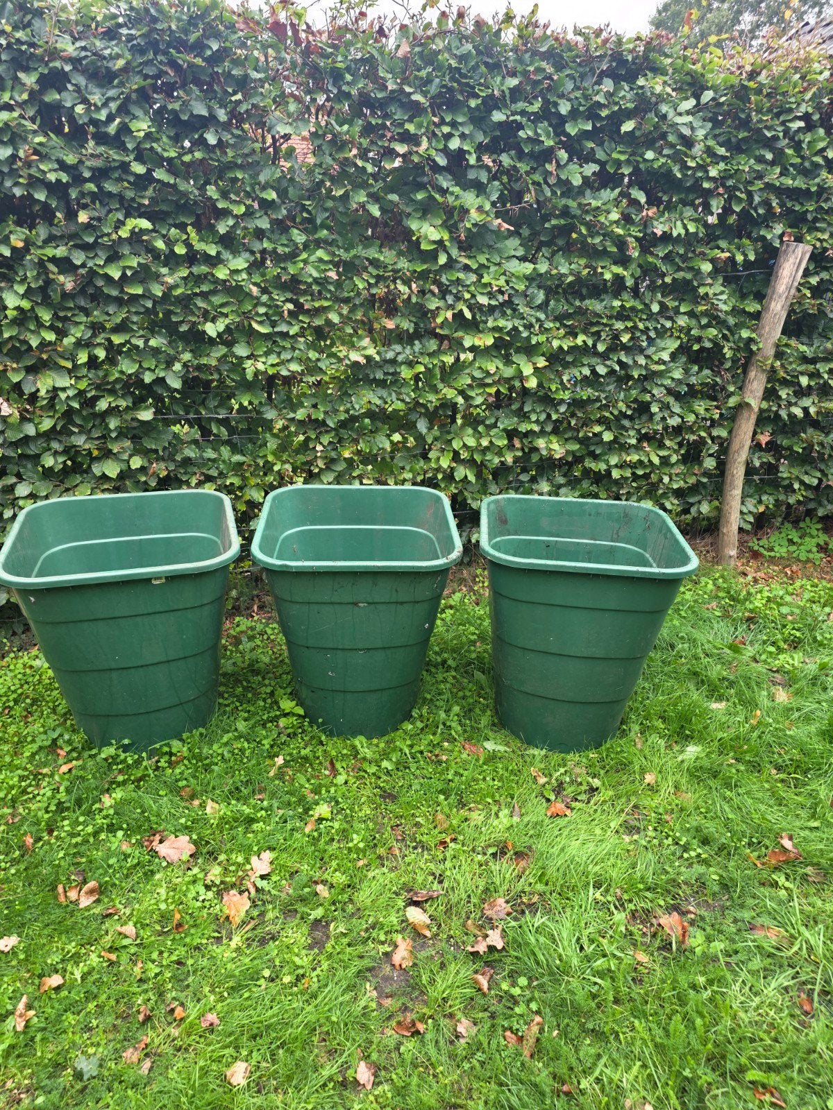 3x Graf Groene regentonnen 203L Regenton 203 liter, Tuin en Terras, 150 liter of meer, Ophalen, Gebruikt, Kunststof