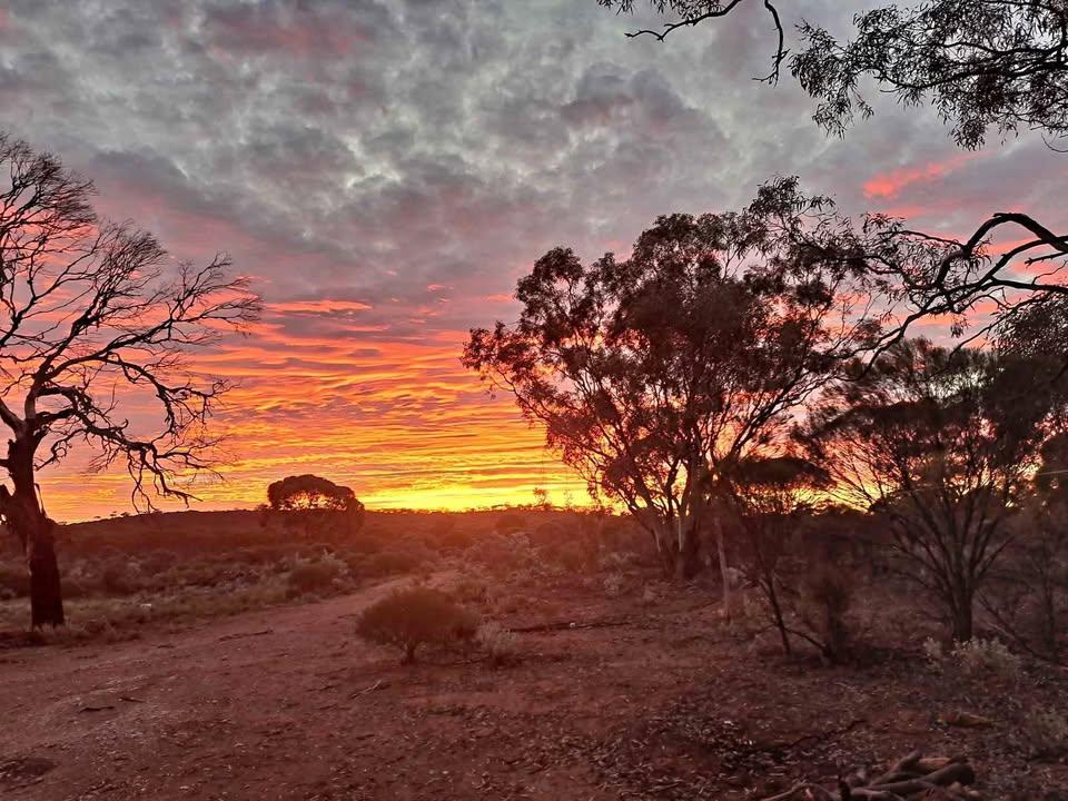 Gezocht: investeerder goud project in Australië