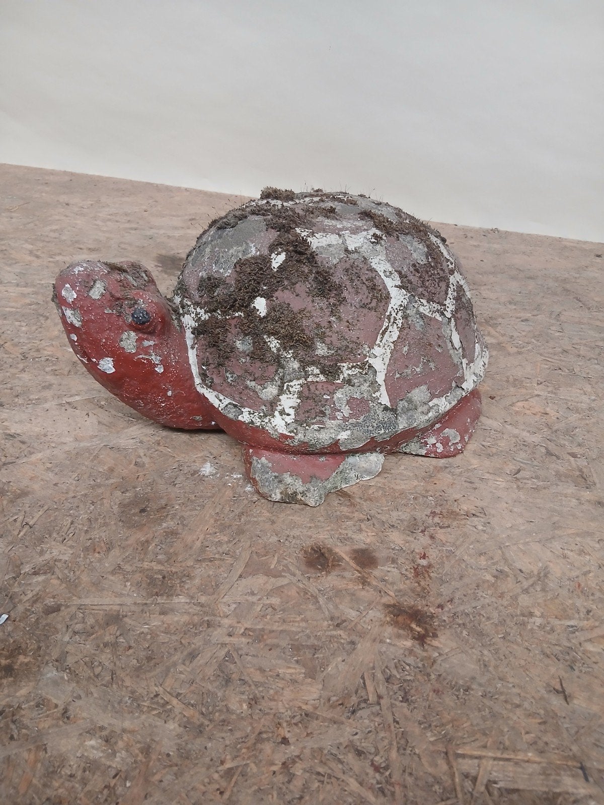 Decoratieve betonnen schildpad - 35 cm lang, Ophalen, Dierenbeeld, Gebruikt, Niet van toepassing