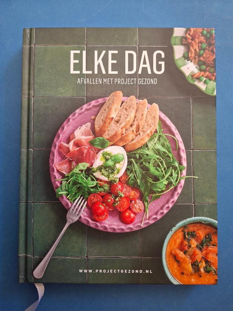 Elke dag Afvallen met Project Gezond - Natalia Rakhorst, Boeken, Verzenden, Zo goed als nieuw, Overige gebieden