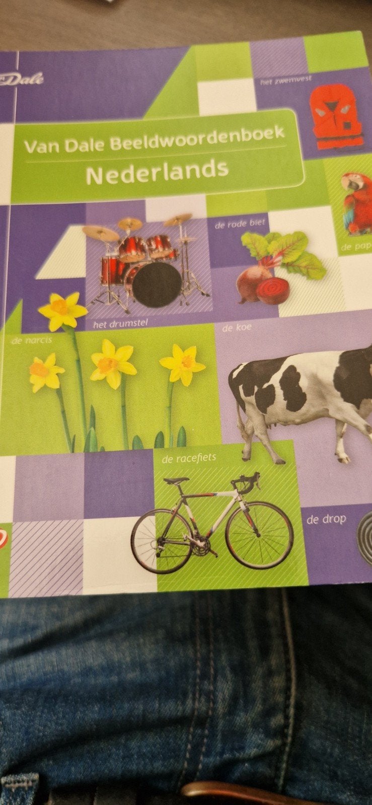 Van Dale Beeldwoordenboek Nederlands - Leer Nederlands, Ophalen of Verzenden, Zo goed als nieuw, LBO, Van Dale