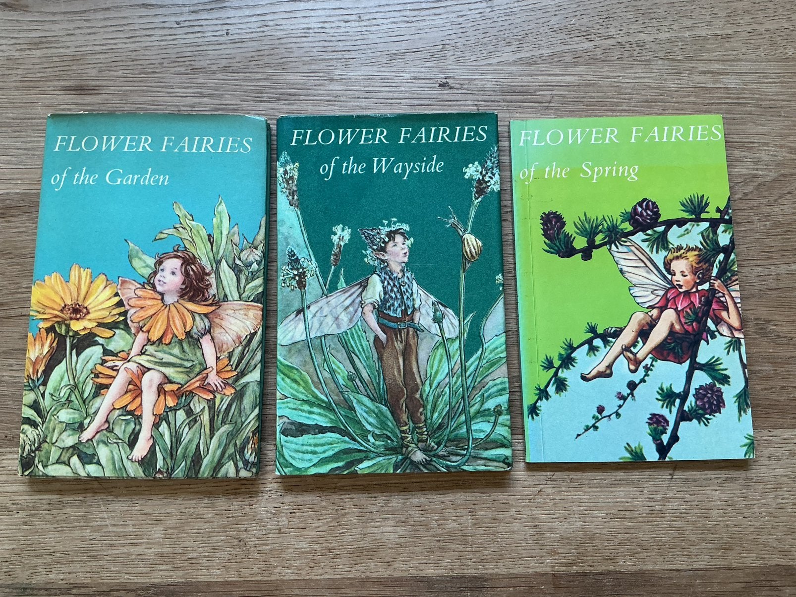 Boekjes van Flower fairies,, Ophalen of Verzenden, Gelezen