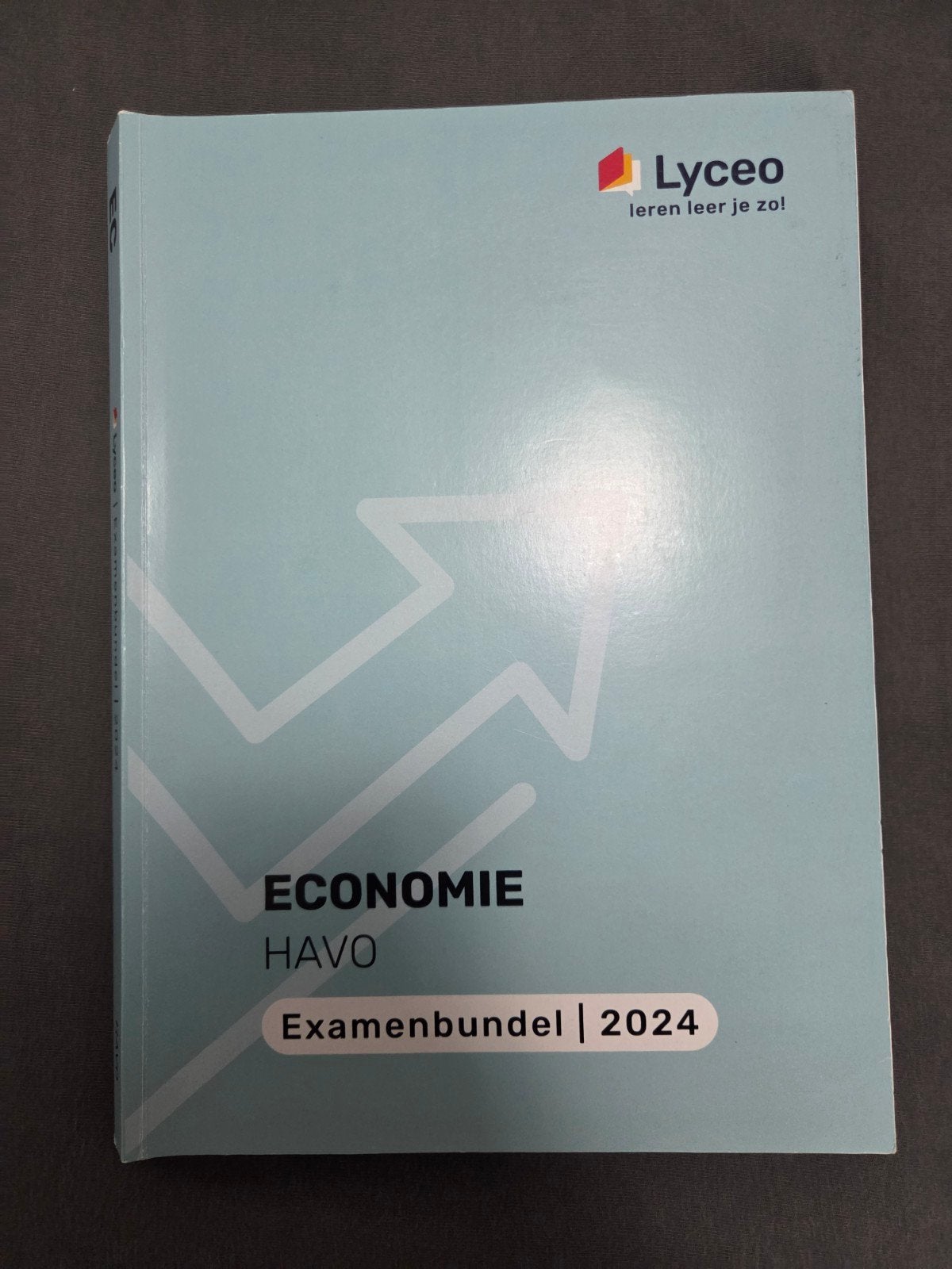 Examenbundel Economie HAVO 2024 - Lyceo, Ophalen of Verzenden, Gamma, Zo goed als nieuw, HBO
