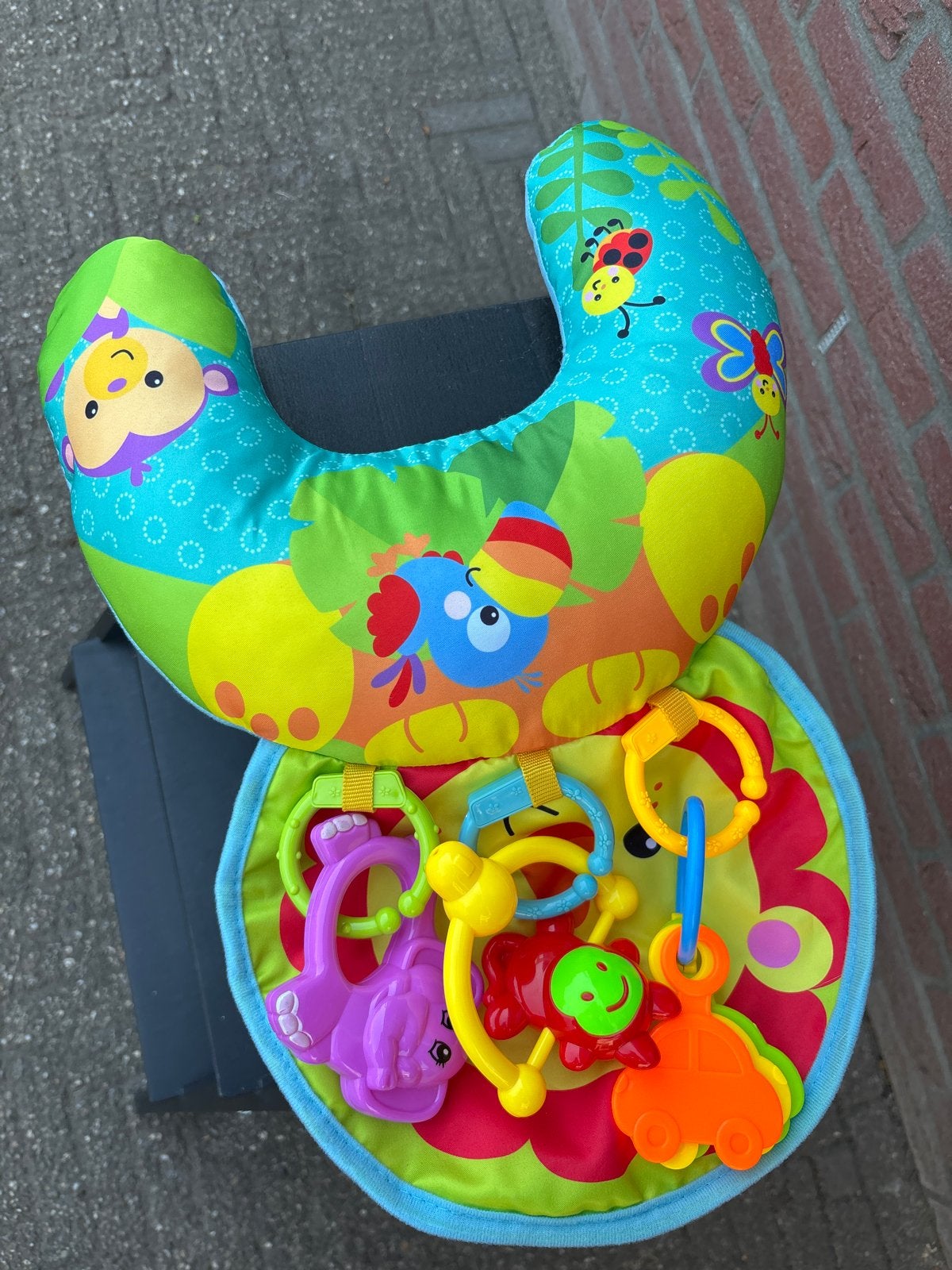 Babygym/Speelkleed met kussen en rammelaars, Ophalen, Zo goed als nieuw, Speelkleed