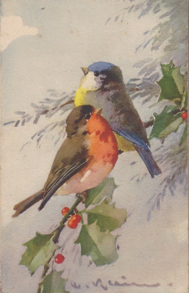 Catharina Klein. Roodborstje & Meesje. Mooie oude AK., Ophalen of Verzenden, Voor 1920, Ongelopen, Overige thema's