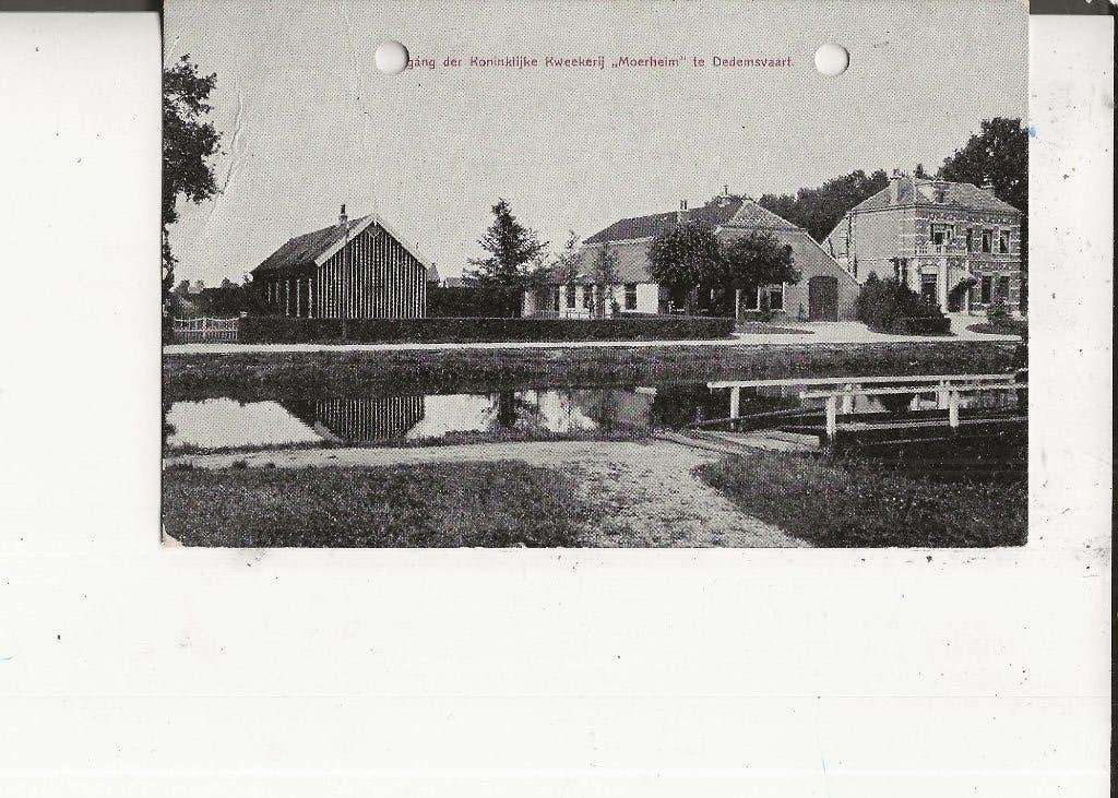 Dedemsvaart Ingang Kon Kweekerij Moerheim 30-12-1909, Ophalen of Verzenden, Voor 1920, Gelopen, Overijssel