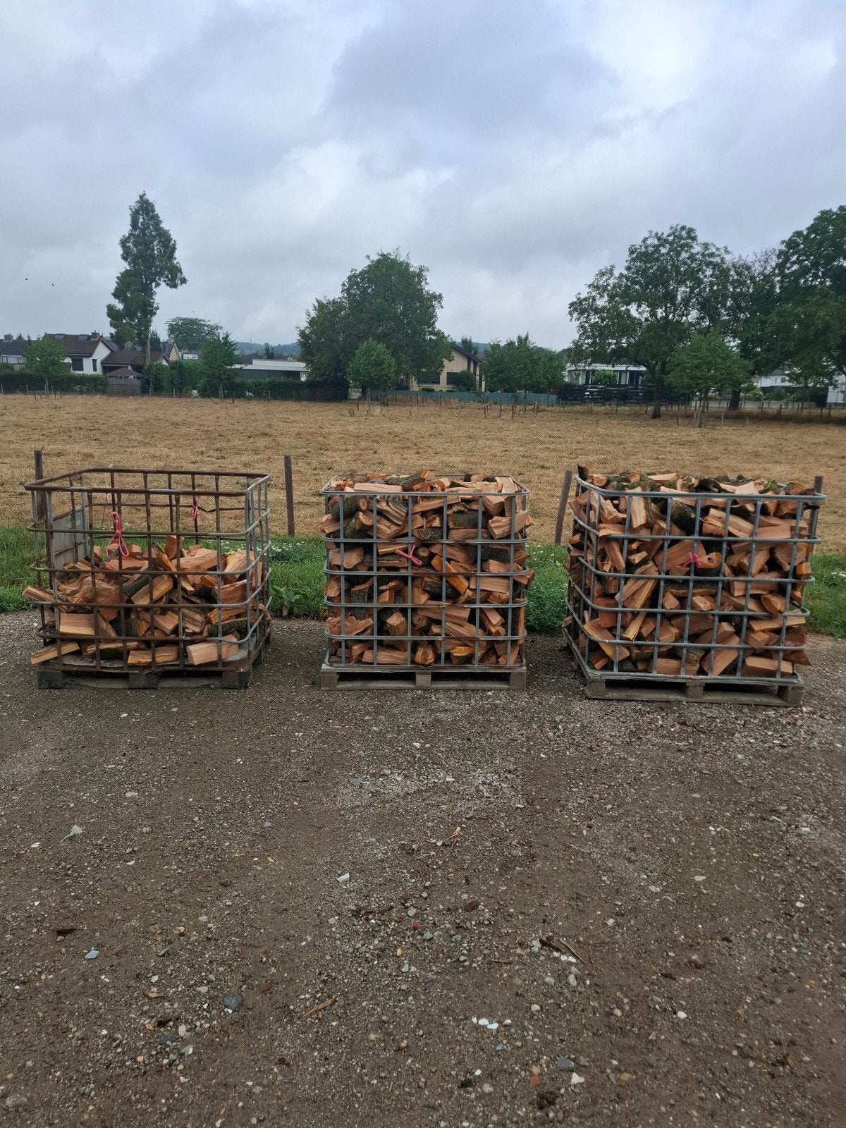 Vers gekloofd Kersenhout, Tuin en Terras, Haardhout, Minder dan 3 m³, Ophalen of Verzenden, Overige houtsoorten, Blokken