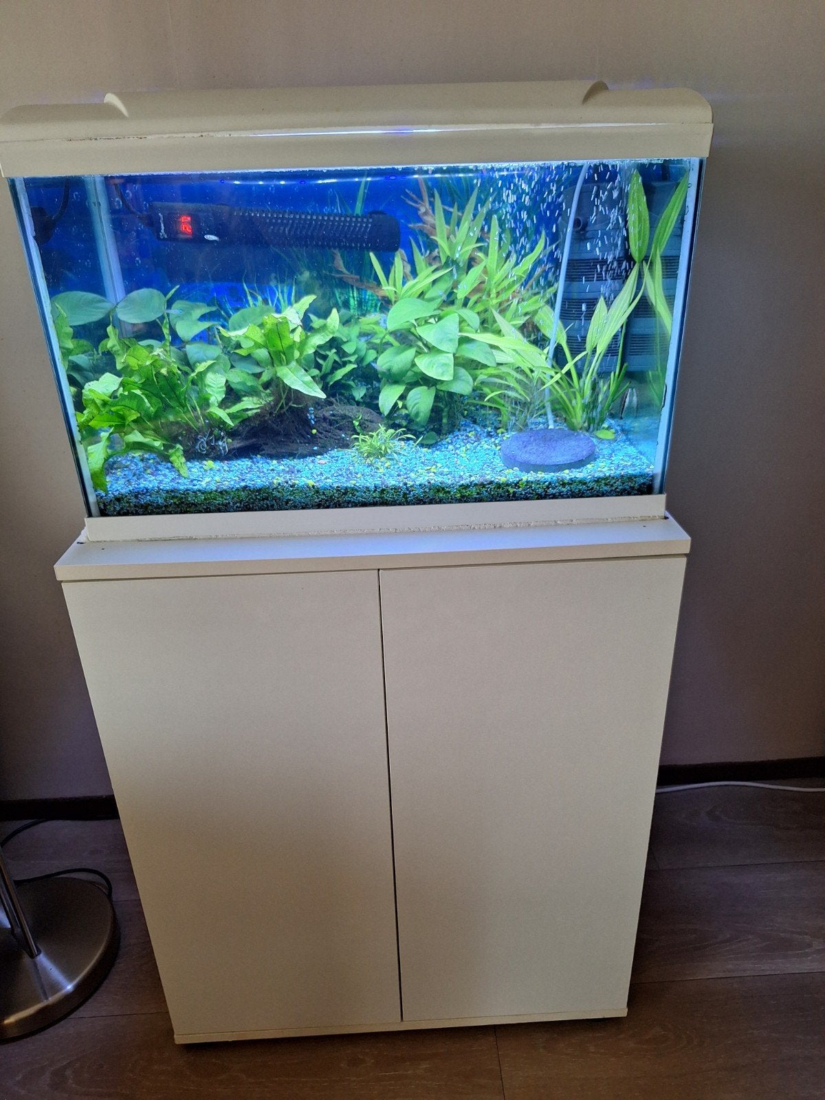 Te Koop mooi Aquarium met kast, Ophalen, HS Aqua, Gevuld zoetwateraquarium, Inclusief vissen