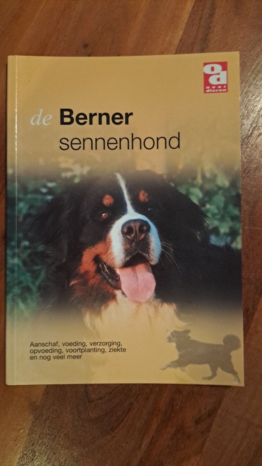 De Berner Sennenhond: Aanschaf, verzorging en meer, Ophalen of Verzenden