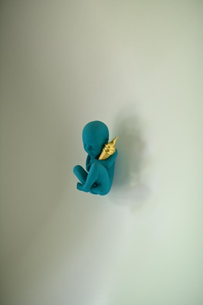"Turquoise Evolution" (2013) – Joseph Klibansky | Editie 3/8, Ophalen