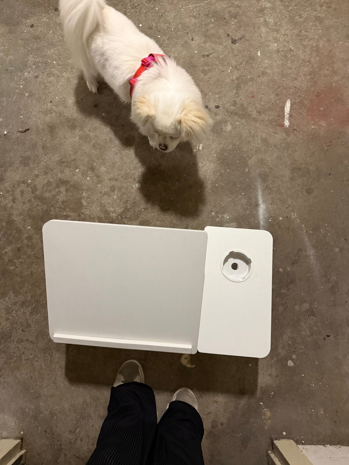 Verstelbaar bedtafeltje/laptoptafel - Wit, Gebruikt, Metaal of Aluminium, 55 tot 75 cm, Rechthoekig