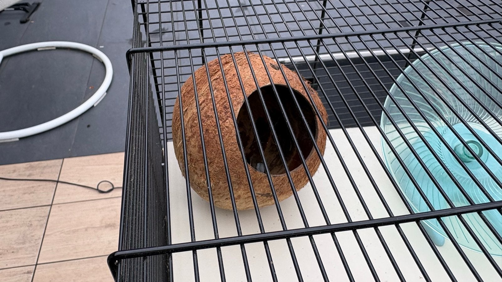 Hamster kooi glas en tralies met veel toebehoren 45x 77 x 50, Kooi, Zo goed als nieuw, Hamster, 75 tot 110 cm