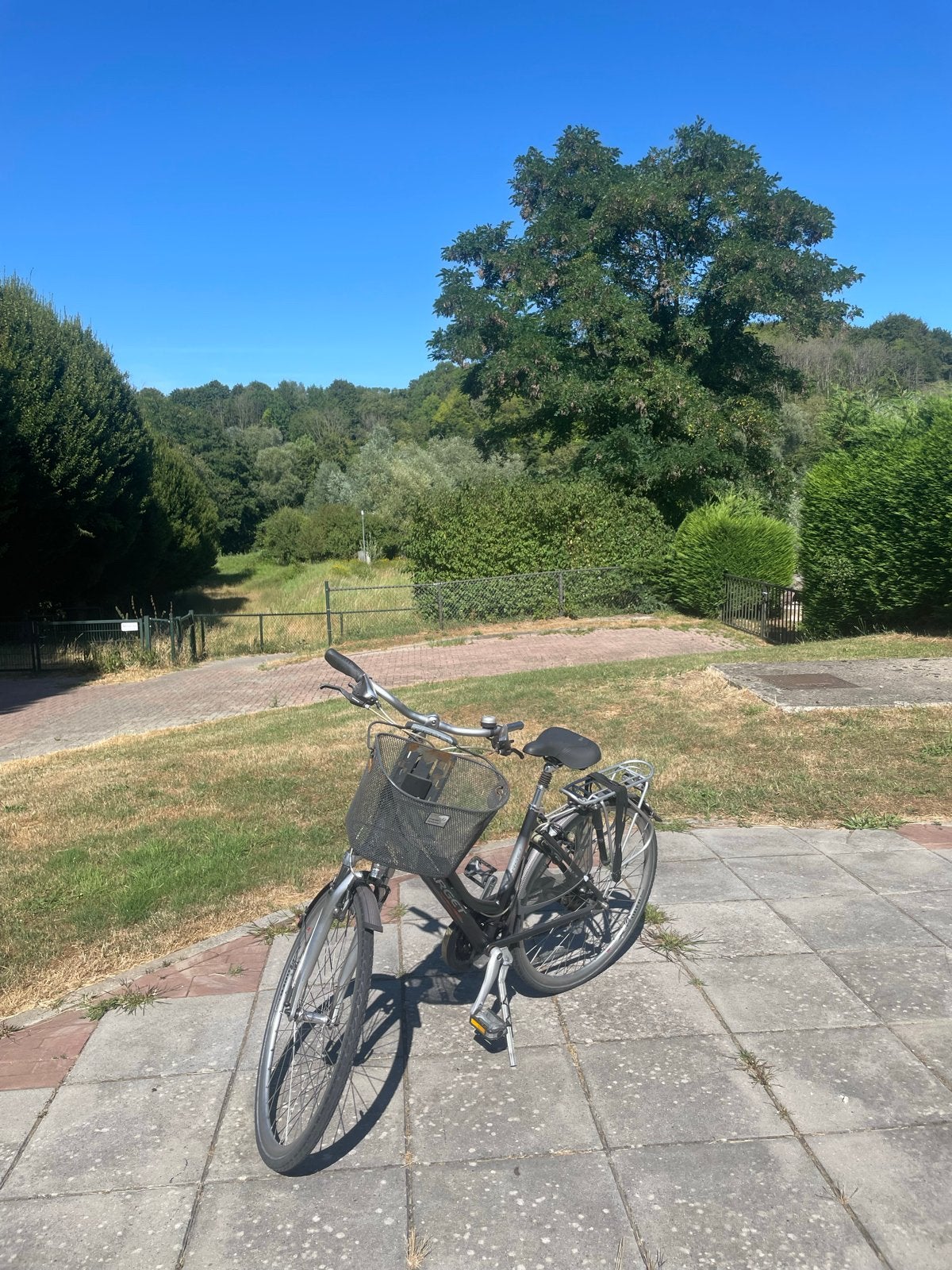 Target Damesfiets met mandje en versnellingen, Fietsen en Brommers, Gebruikt, Velgrem, Versnellingen, 50 tot 53 cm